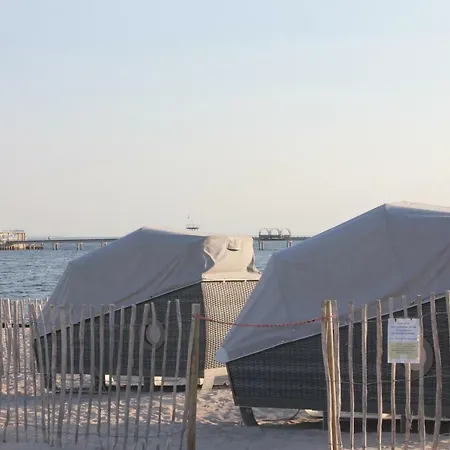 Strandlaeufer Im Kirschgarten
