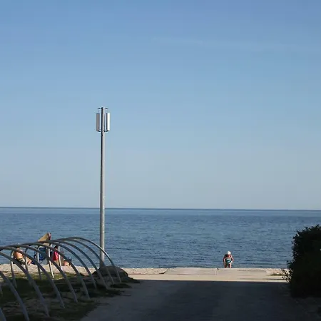 Strandlaeufer Im Kirschgarten Kellenhusen