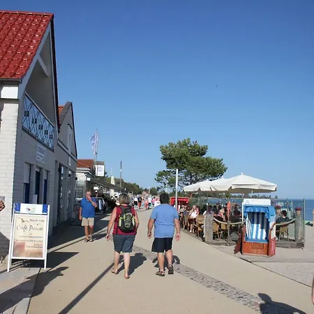Strandlaeufer Im Kirschgarten *