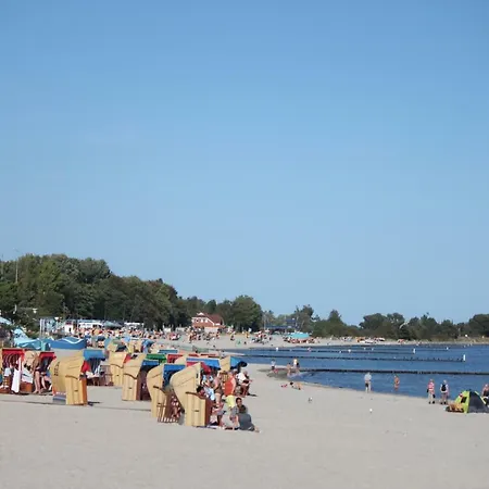 Strandlaeufer Im Kirschgarten